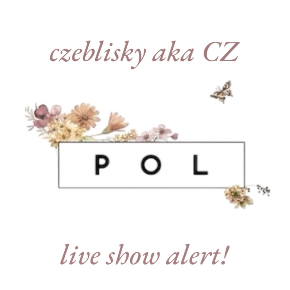 CZ live notification backup - Picture 3 of 3